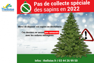 Arrêt de la collecte spéciale des sapins en 2022