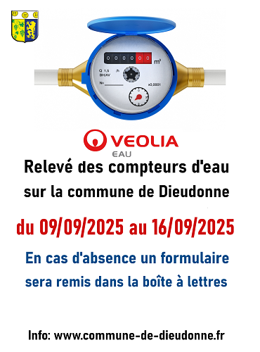relevé des compteurs d'eau à Dieudonne.