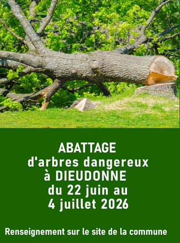 Campagne d'abattage d'arbres