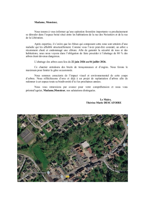 Média réf. 7127 (2/2): Campagne d'abattage d'arbres