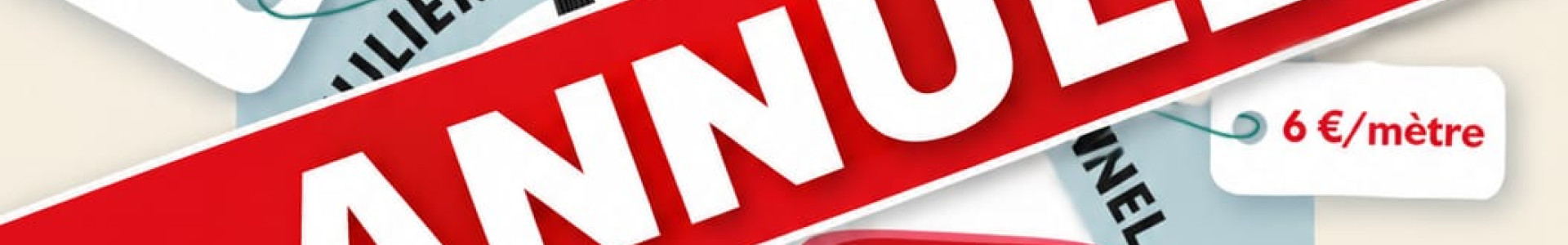 Annulation Vide Grenier