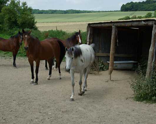 Les alentours